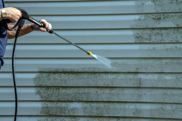 Best House Exterior Washing  in Audubon Park, KY